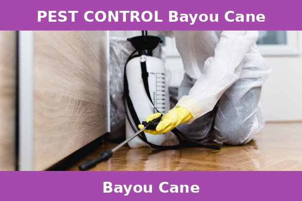 PEST CONTROL Bayou Cane